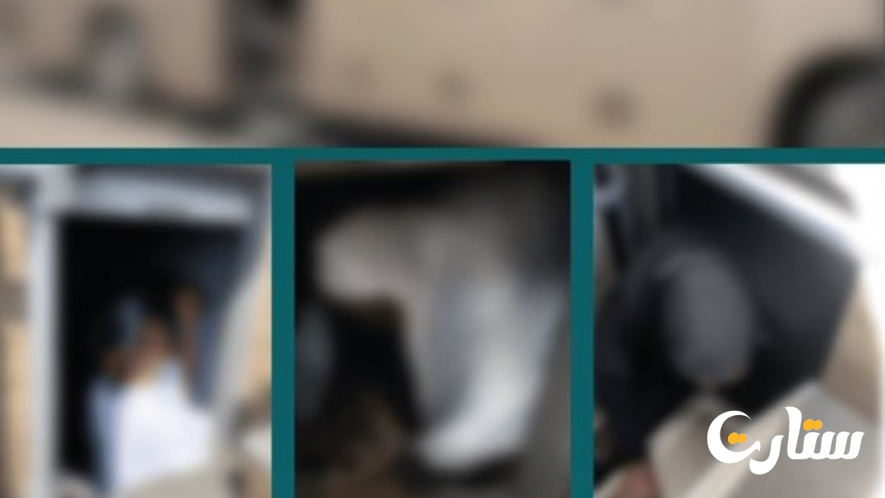 2573499.jpg