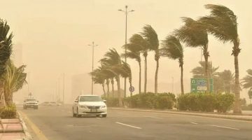 "أحوال الطقس": نشاط الرياح والأتربة يعمّ أرجاء المدينة المنورة